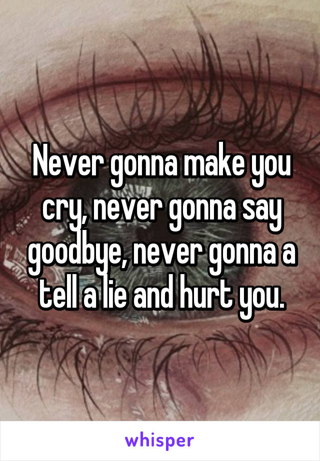 Never gonna make you cry, never gonna say goodbye, never gonna a tell a lie and hurt you.