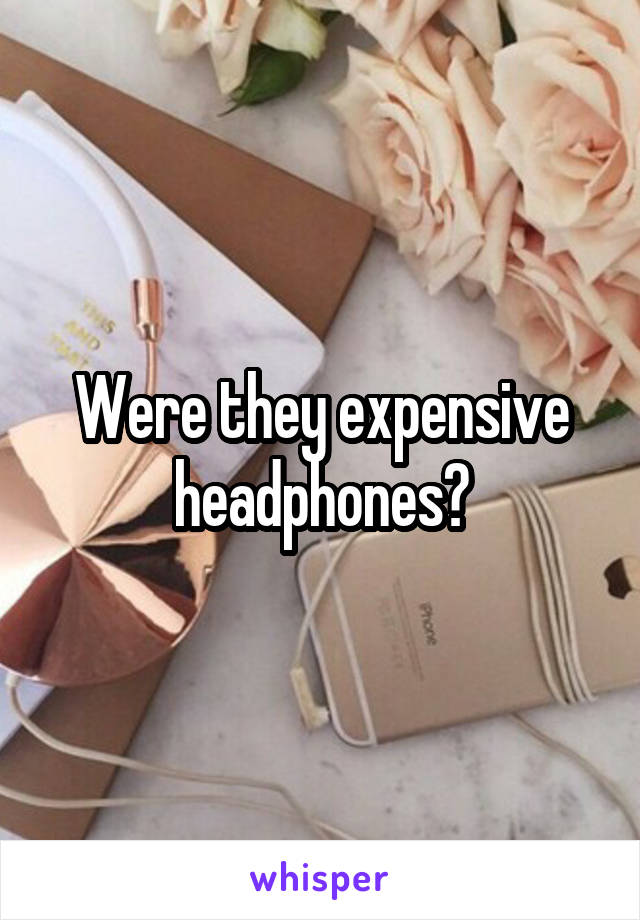 Were they expensive headphones?