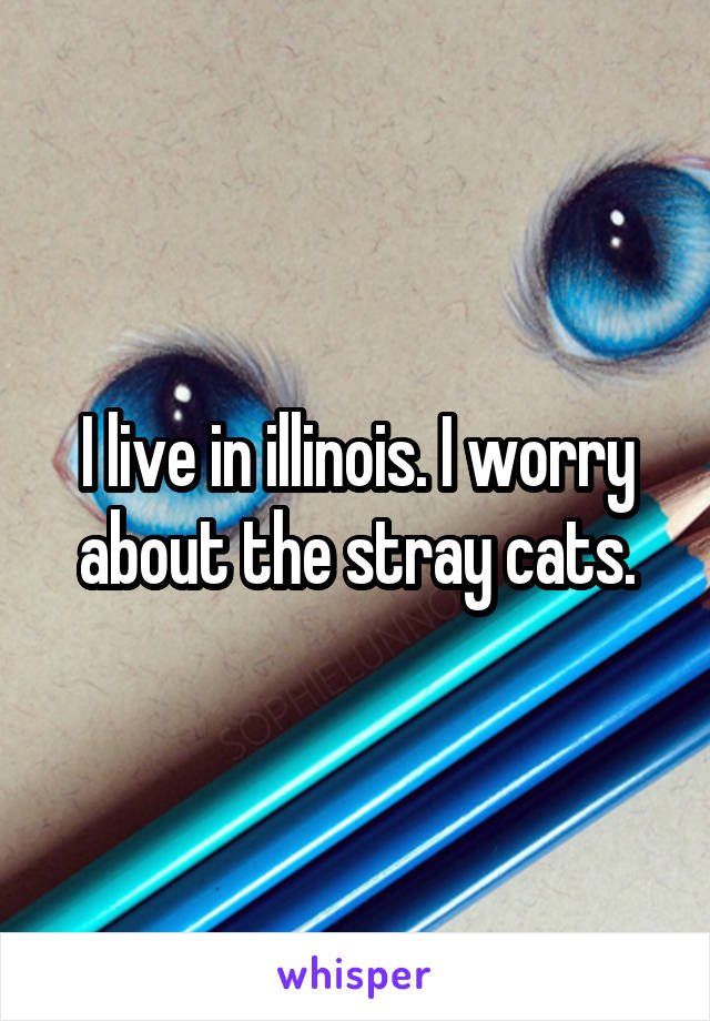 I live in illinois. I worry about the stray cats.