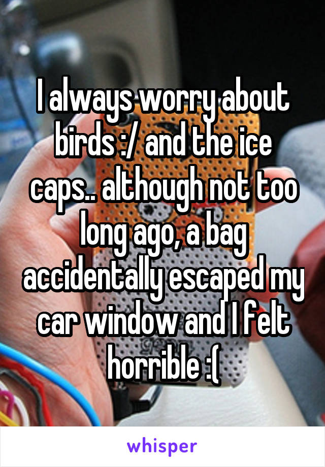 I always worry about birds :/ and the ice caps.. although not too long ago, a bag accidentally escaped my car window and I felt horrible :(