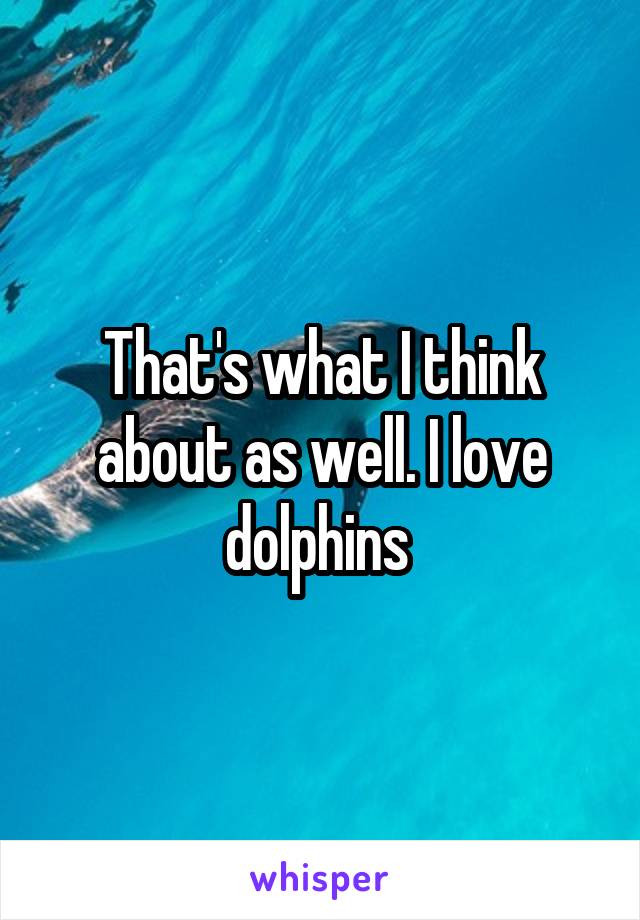 That's what I think about as well. I love dolphins 