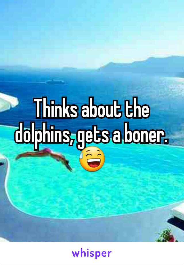 Thinks about the dolphins, gets a boner. 😅