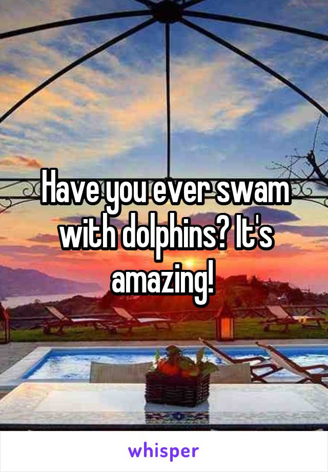 Have you ever swam with dolphins? It's amazing! 