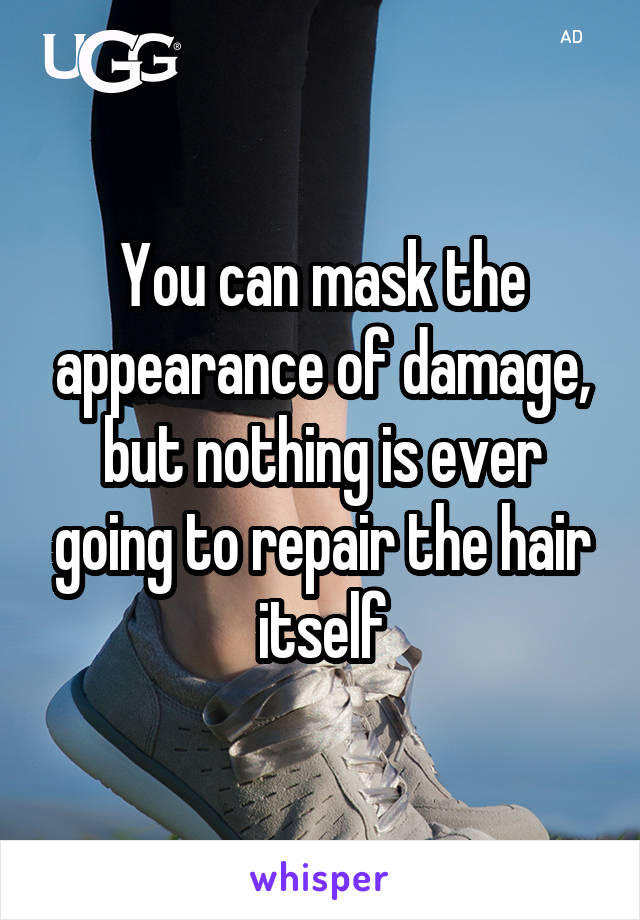 You can mask the appearance of damage, but nothing is ever going to repair the hair itself