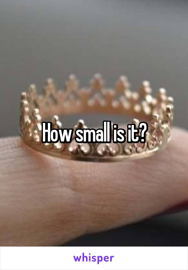 How small is it?