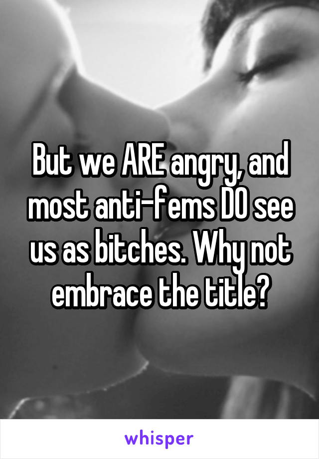 But we ARE angry, and most anti-fems DO see us as bitches. Why not embrace the title?