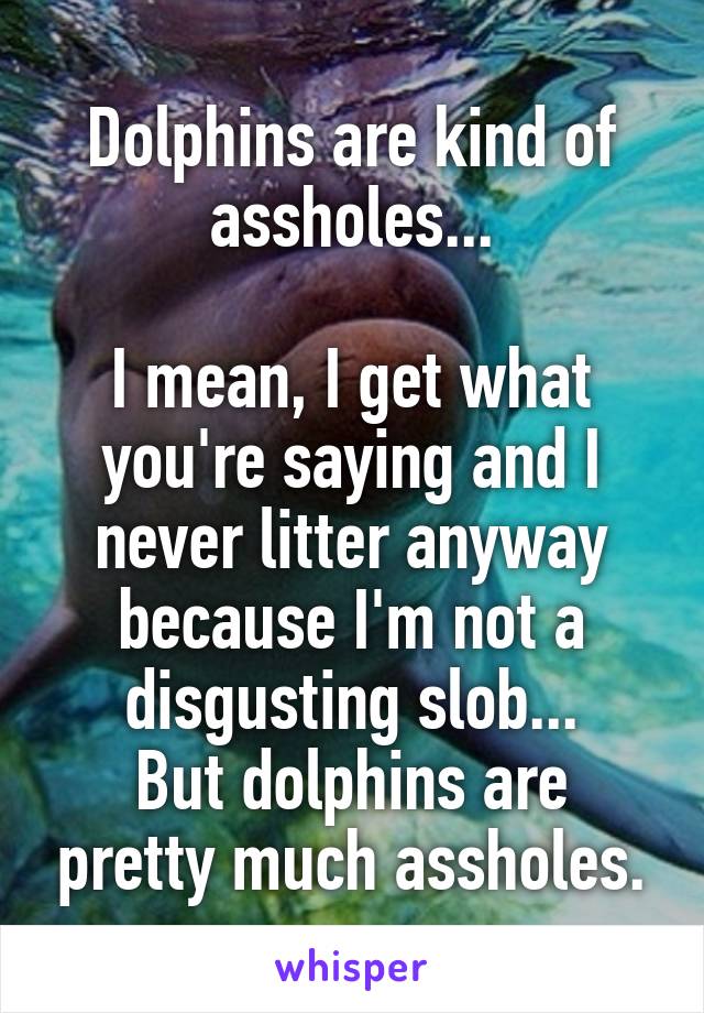 Dolphins are kind of assholes...

I mean, I get what you're saying and I never litter anyway because I'm not a disgusting slob...
But dolphins are pretty much assholes.