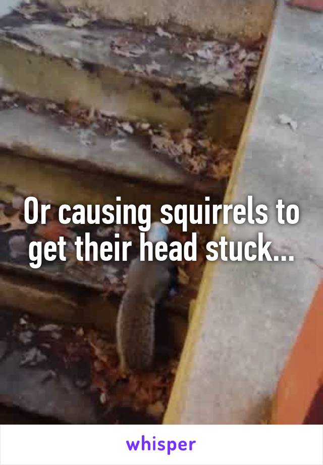 Or causing squirrels to get their head stuck...