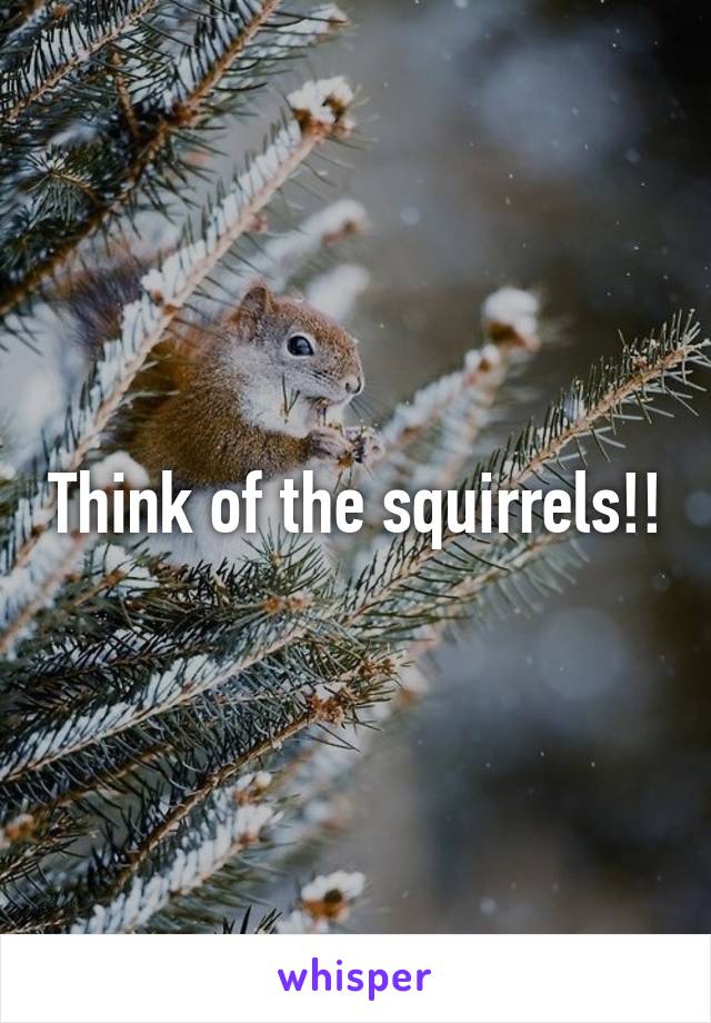 Think of the squirrels!!