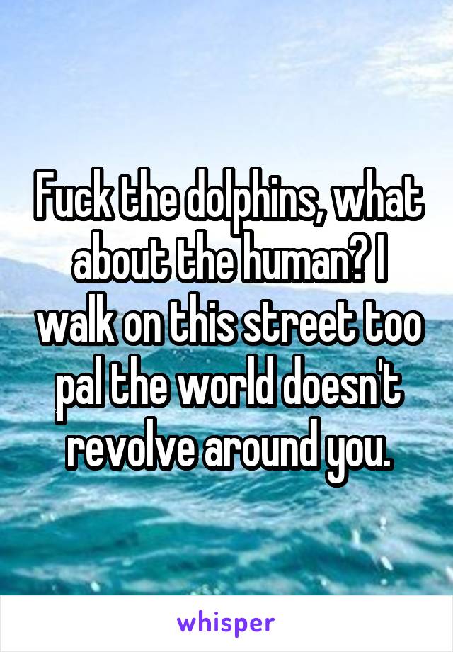 Fuck the dolphins, what about the human? I walk on this street too pal the world doesn't revolve around you.