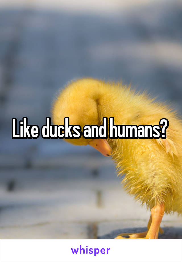 Like ducks and humans? 