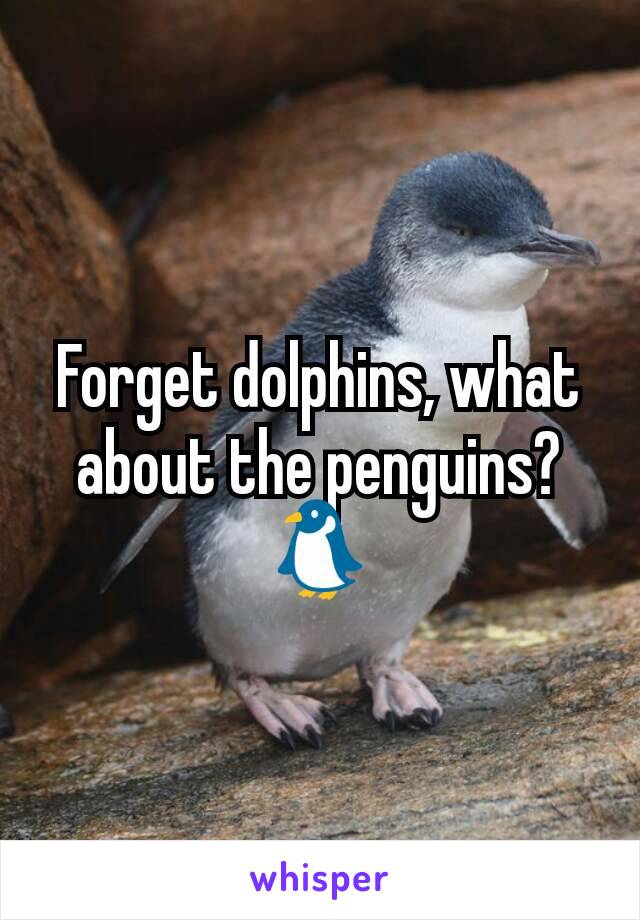 Forget dolphins, what about the penguins?
🐧