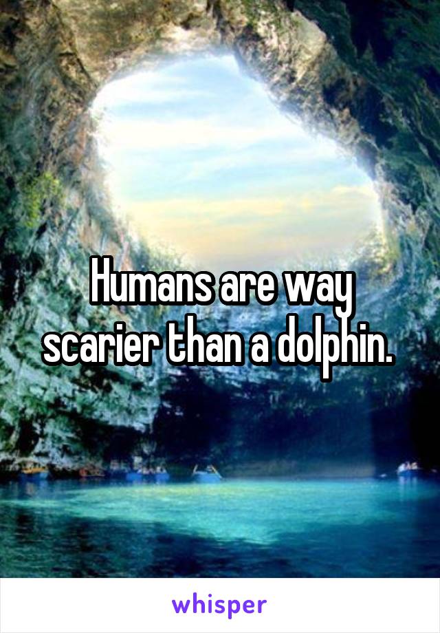 Humans are way scarier than a dolphin. 