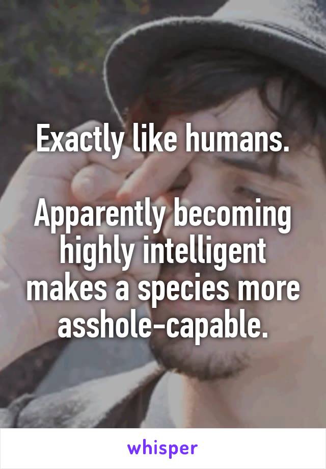 Exactly like humans.

Apparently becoming highly intelligent makes a species more asshole-capable.