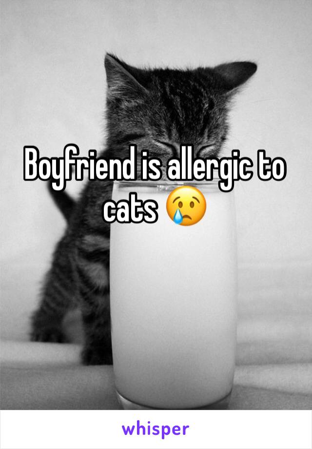 Boyfriend is allergic to cats 😢