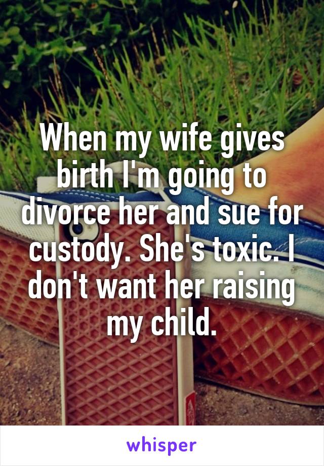 When my wife gives birth I'm going to divorce her and sue for custody. She's toxic. I don't want her raising my child.