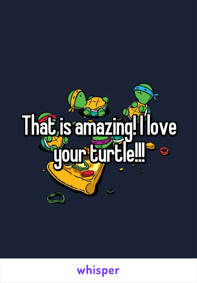 That is amazing! I love your turtle!!!