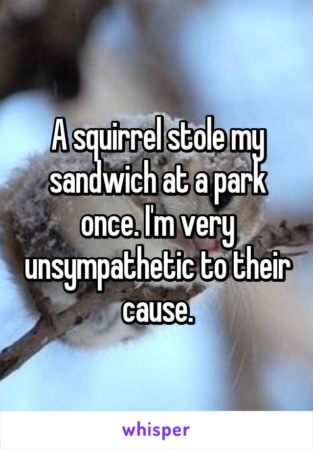 A squirrel stole my sandwich at a park once. I'm very unsympathetic to their cause.