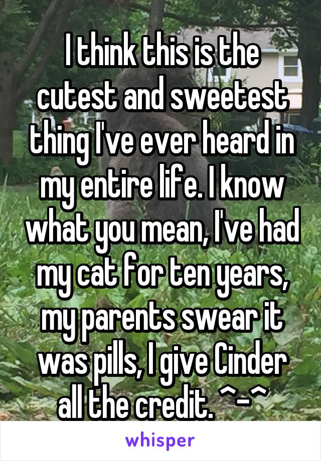 I think this is the cutest and sweetest thing I've ever heard in my entire life. I know what you mean, I've had my cat for ten years, my parents swear it was pills, I give Cinder all the credit. ^-^