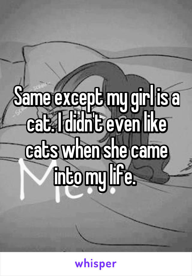 Same except my girl is a cat. I didn't even like cats when she came into my life. 