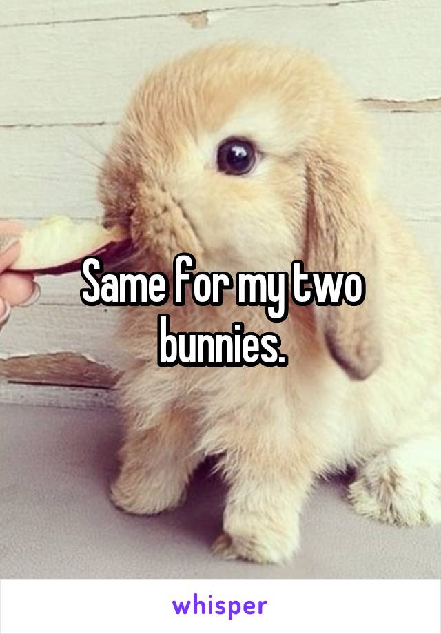 Same for my two bunnies.