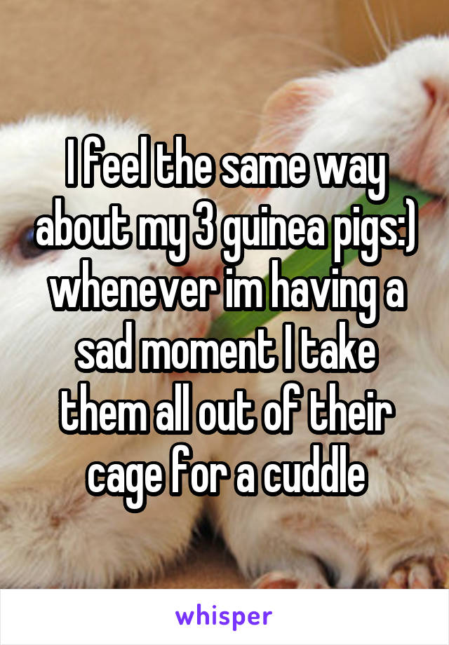 I feel the same way about my 3 guinea pigs:) whenever im having a sad moment I take them all out of their cage for a cuddle