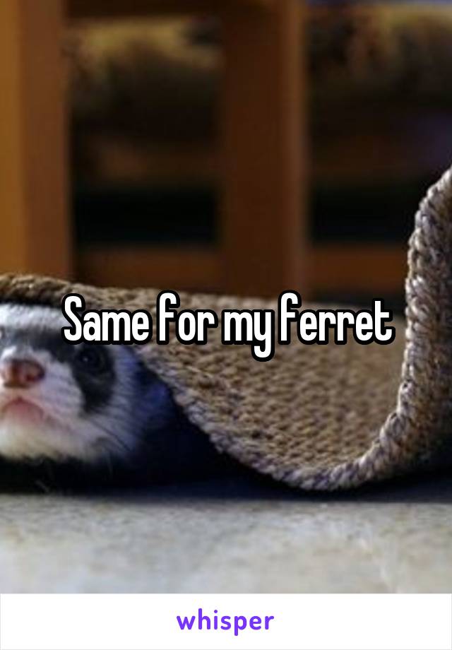 Same for my ferret