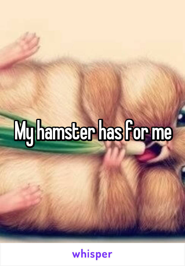 My hamster has for me