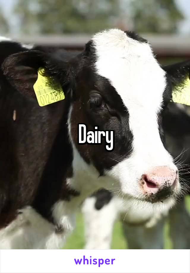 Dairy