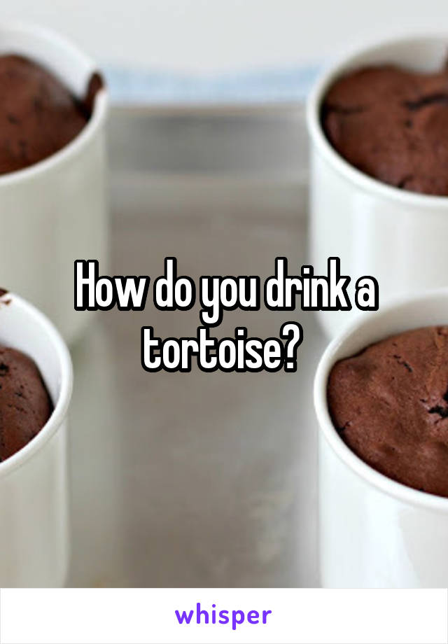 How do you drink a tortoise? 
