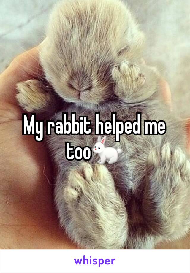My rabbit helped me too🐇