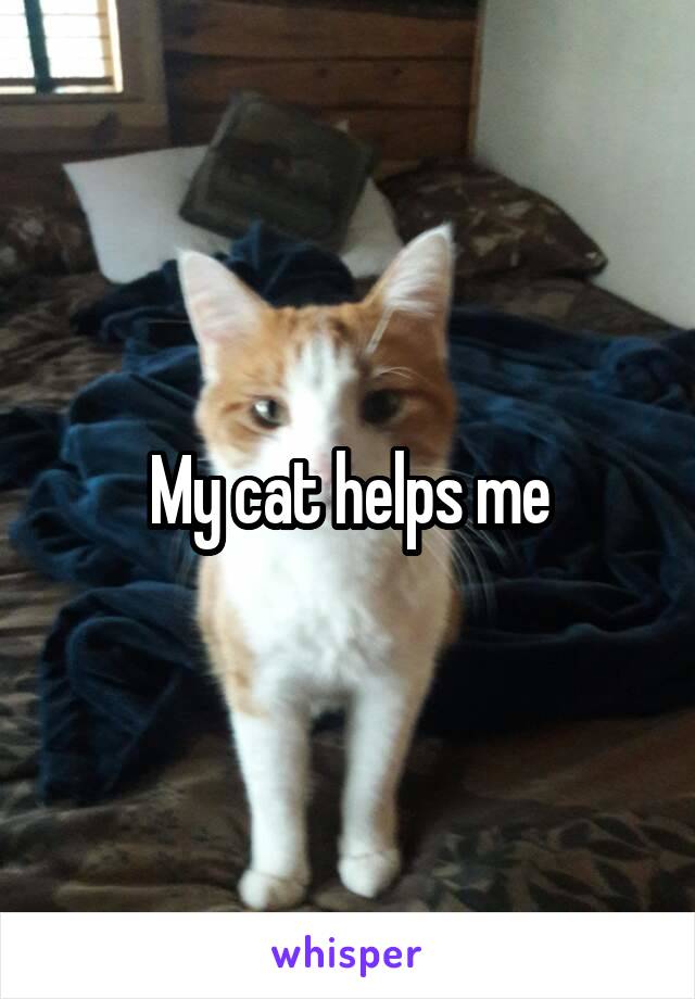 My cat helps me