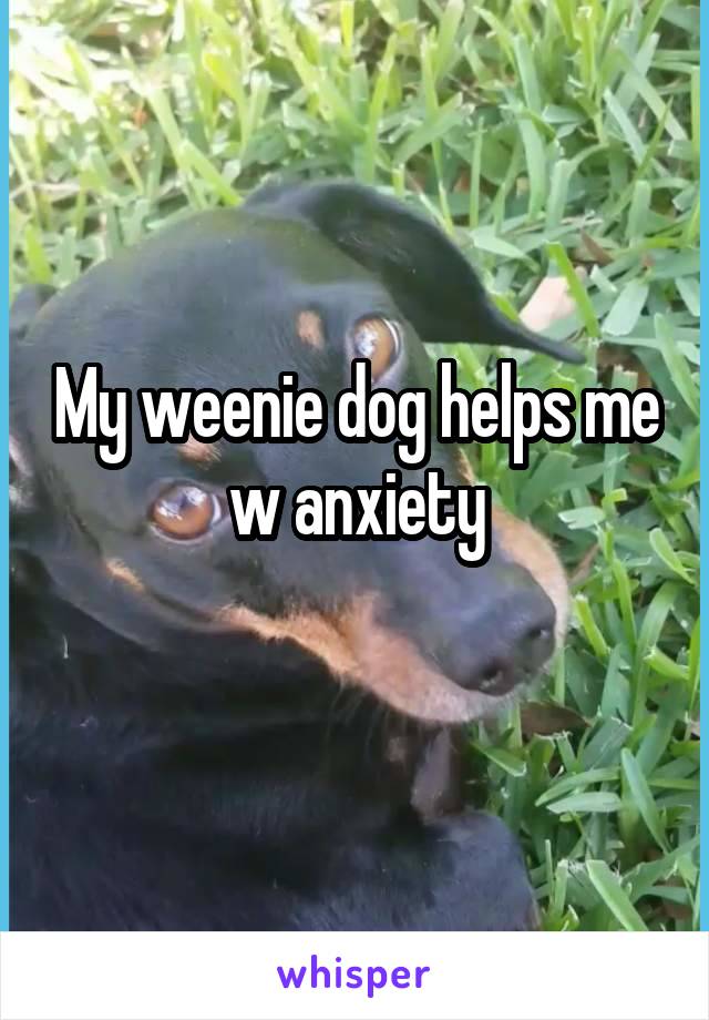 My weenie dog helps me w anxiety
