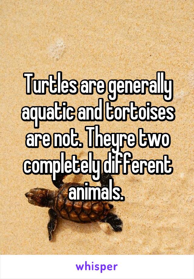 Turtles are generally aquatic and tortoises are not. Theyre two completely different animals. 