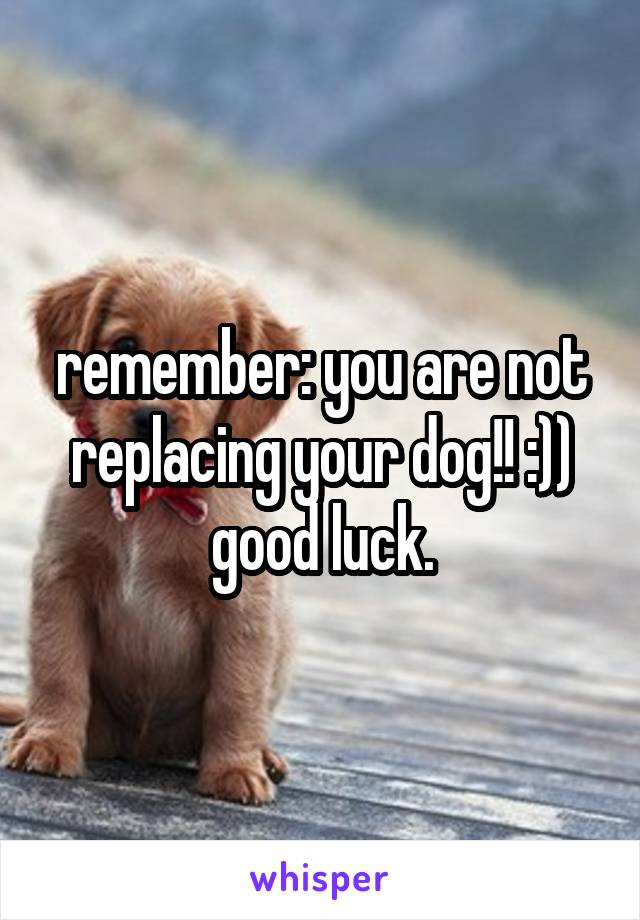 remember: you are not replacing your dog!! :))
good luck.