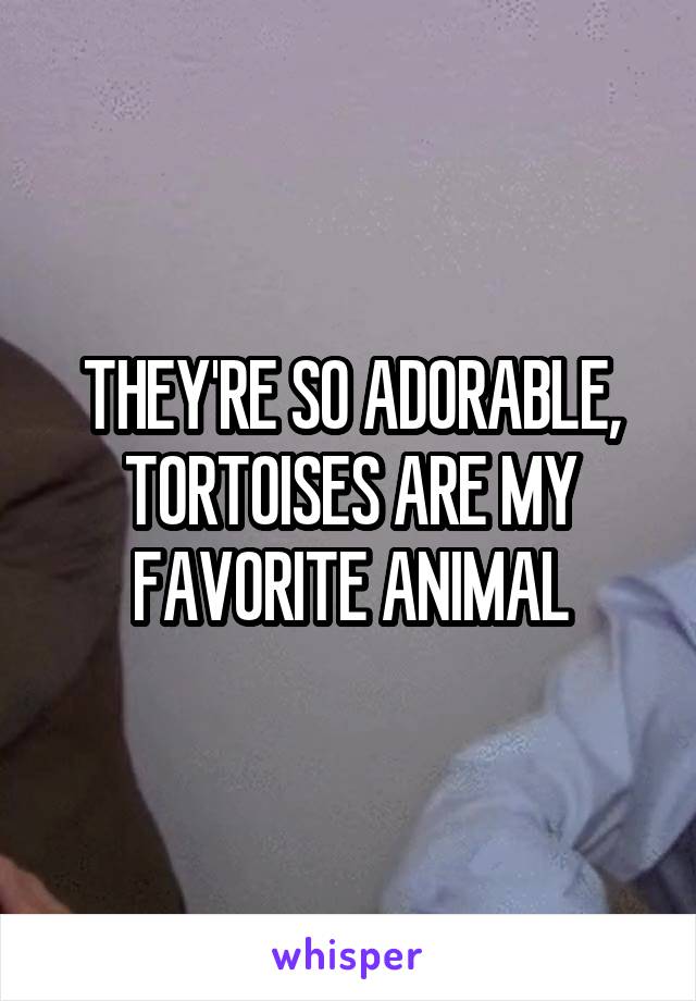 THEY'RE SO ADORABLE, TORTOISES ARE MY FAVORITE ANIMAL