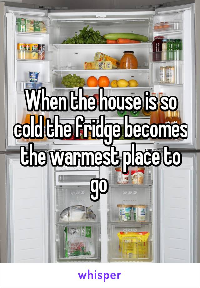 When the house is so cold the fridge becomes the warmest place to go 