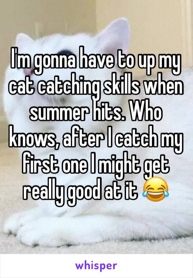 I'm gonna have to up my cat catching skills when summer hits. Who knows, after I catch my first one I might get really good at it ðŸ˜‚