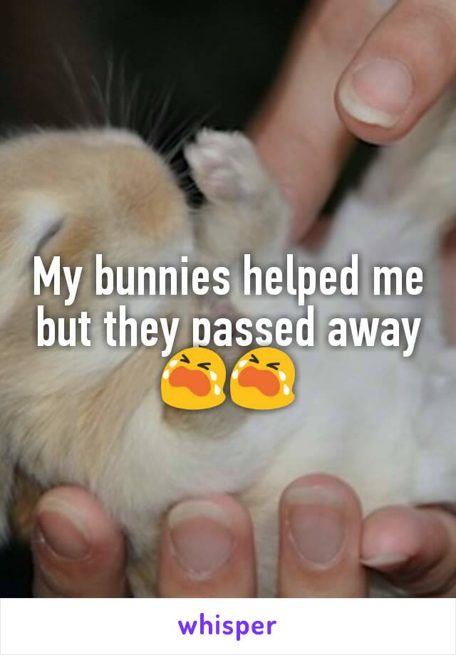 My bunnies helped me but they passed away 😭😭
