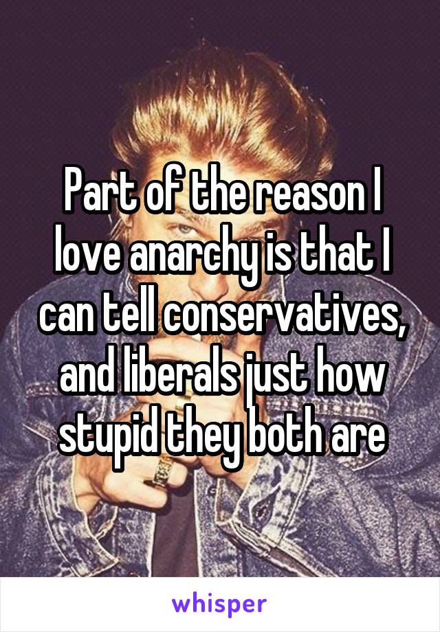 Part of the reason I love anarchy is that I can tell conservatives, and liberals just how stupid they both are