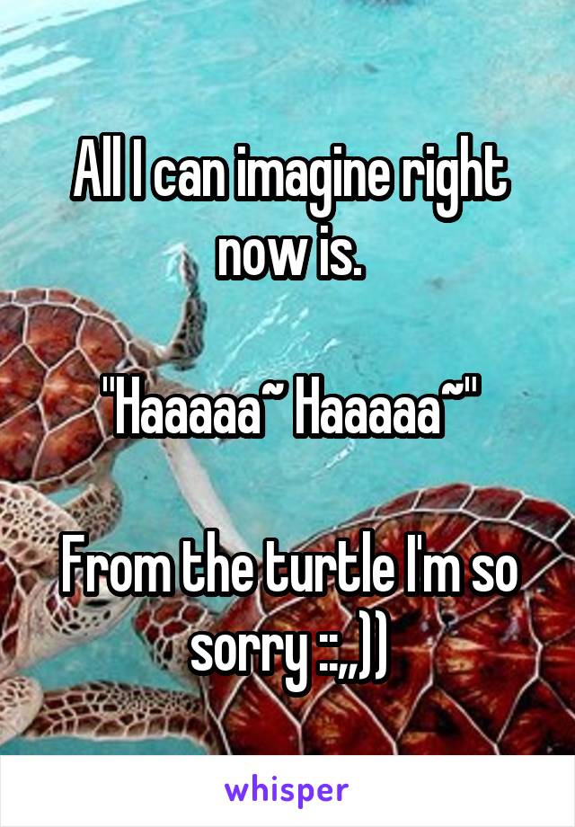 All I can imagine right now is.

"Haaaaa~ Haaaaa~"

From the turtle I'm so sorry ::,,))