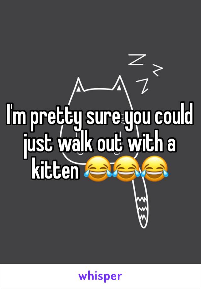 I'm pretty sure you could just walk out with a kitten 😂😂😂