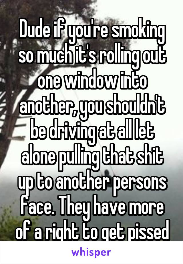 Dude if you're smoking so much it's rolling out one window into another, you shouldn't be driving at all let alone pulling that shit up to another persons face. They have more of a right to get pissed