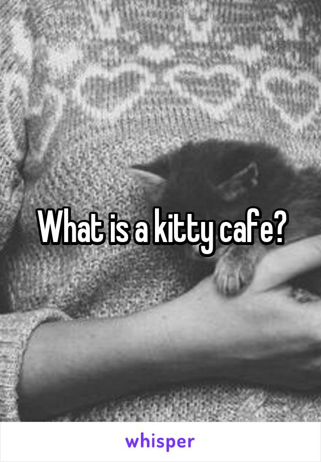 What is a kitty cafe?