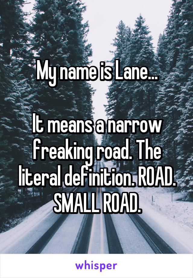 My name is Lane...

It means a narrow freaking road. The literal definition. ROAD. SMALL ROAD.