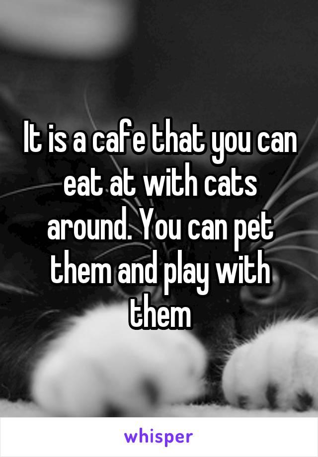 It is a cafe that you can eat at with cats around. You can pet them and play with them