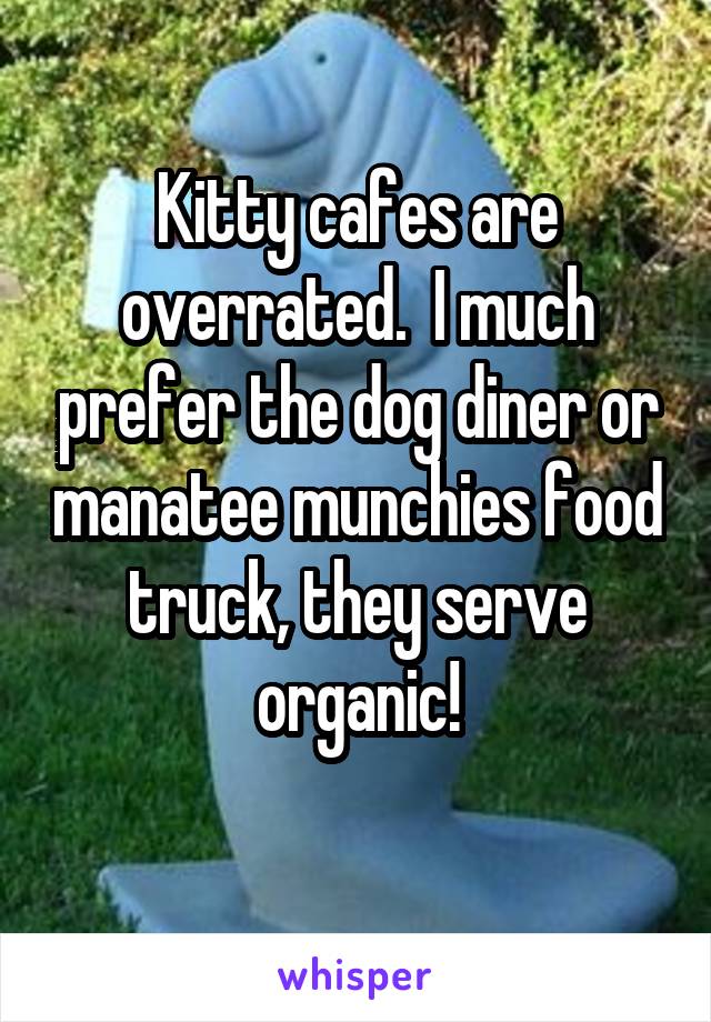 Kitty cafes are overrated.  I much prefer the dog diner or manatee munchies food truck, they serve organic!
