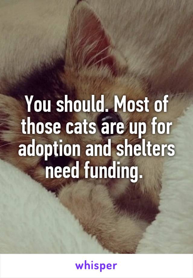 You should. Most of those cats are up for adoption and shelters need funding. 