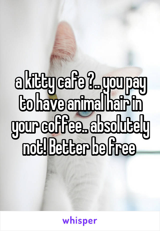  a kitty cafe ?.. you pay to have animal hair in your coffee.. absolutely not! Better be free 