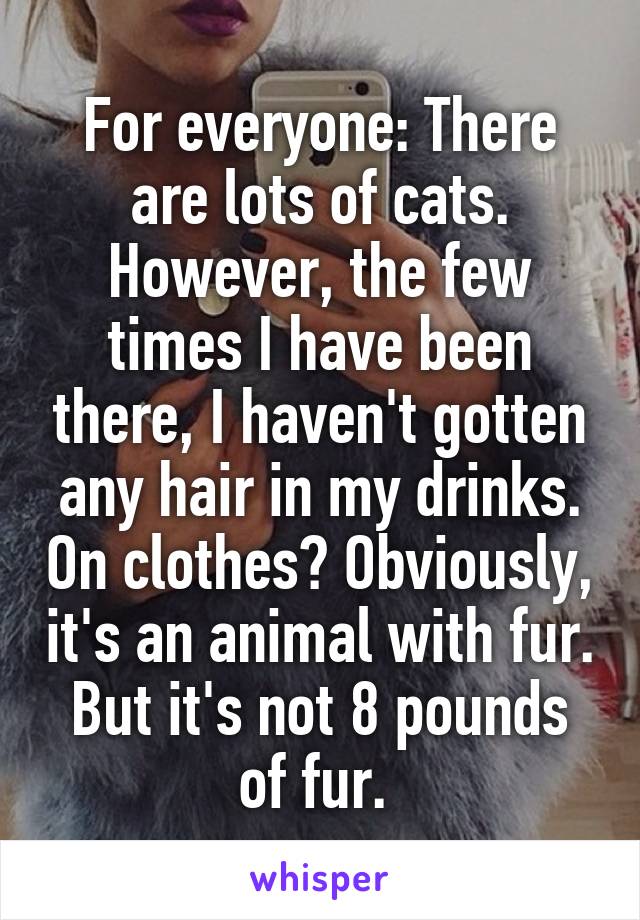 For everyone: There are lots of cats. However, the few times I have been there, I haven't gotten any hair in my drinks. On clothes? Obviously, it's an animal with fur. But it's not 8 pounds of fur. 